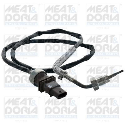 Sensor, exhaust gas temperature